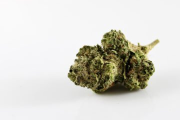 Cannabis in Italia, le 3 cose da sapere per essere davvero informati