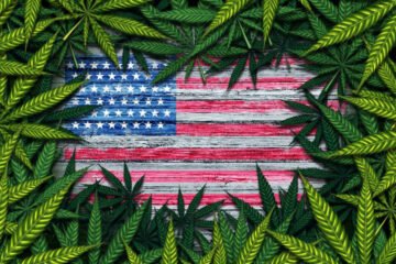 Referendum Usa altri 5 stati hanno legalizzato la cannabis